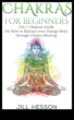 Chakra Flux Un ghid pentru descoperirea Zen prin meditația yoga